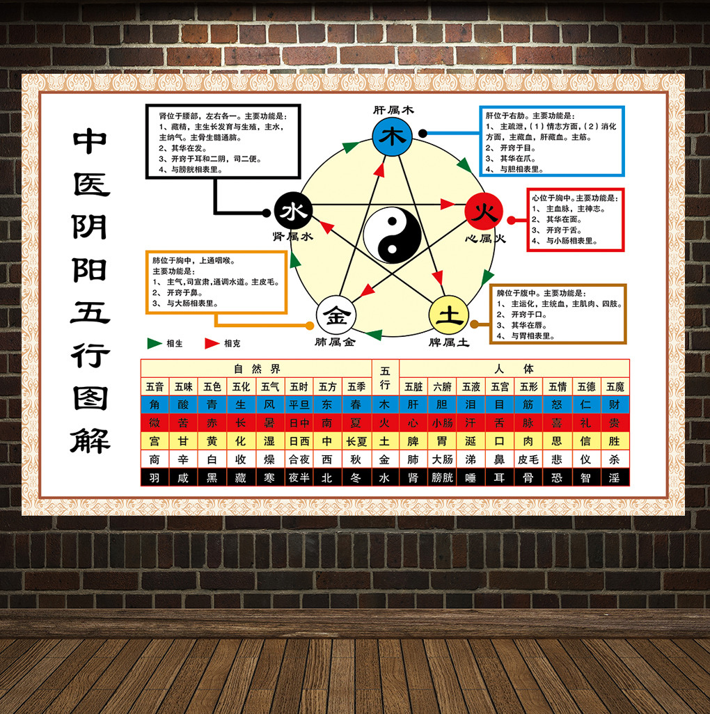 中醫陰陽五行圖解海報養生館文化大掛圖理療會所裝飾壁畫牆貼定製中醫