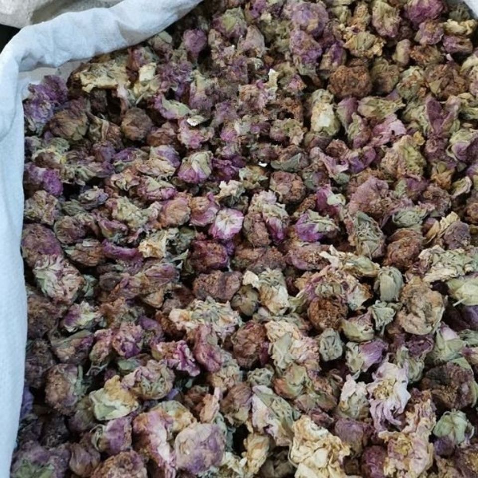 芙蓉花中药材芙蓉花木芙蓉花地芙蓉花干芙蓉花100克新货上市100克