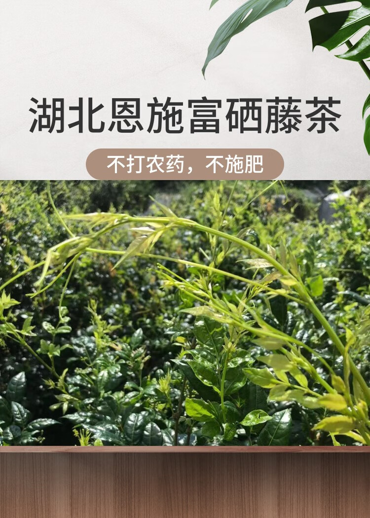 恩施富硒藤茶野生來鳳莓茶龍鬚嫩芽養生藤茶150g嫩葉