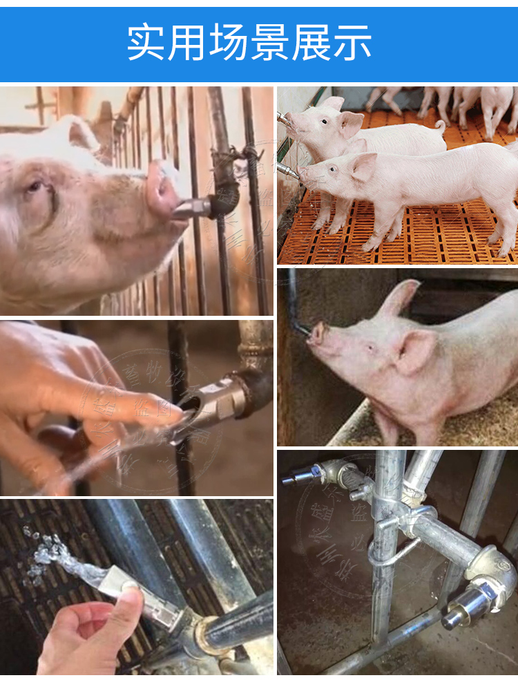boussac 猪用饮水嘴 小猪喝水器鸭嘴式不锈钢自动饮水器喝水碗弹珠猪