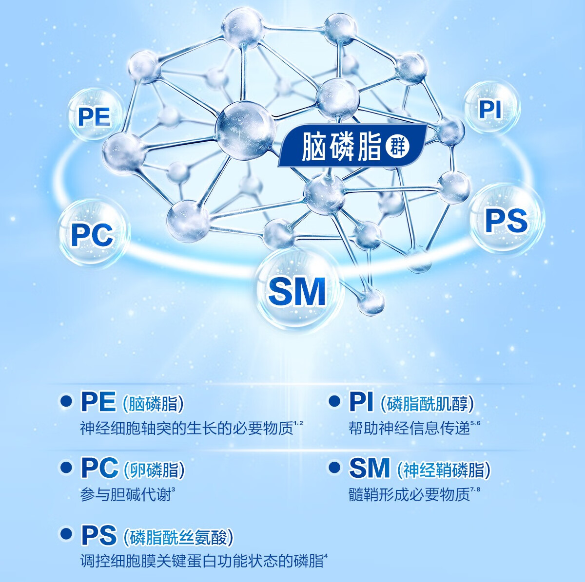 脑磷脂群图片