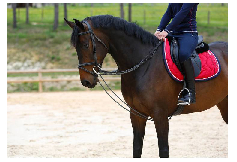 迪卡侬马缰绳牵马缰绳马术副缰绳牵引绳马术用品马具ivg3fs适合标准马