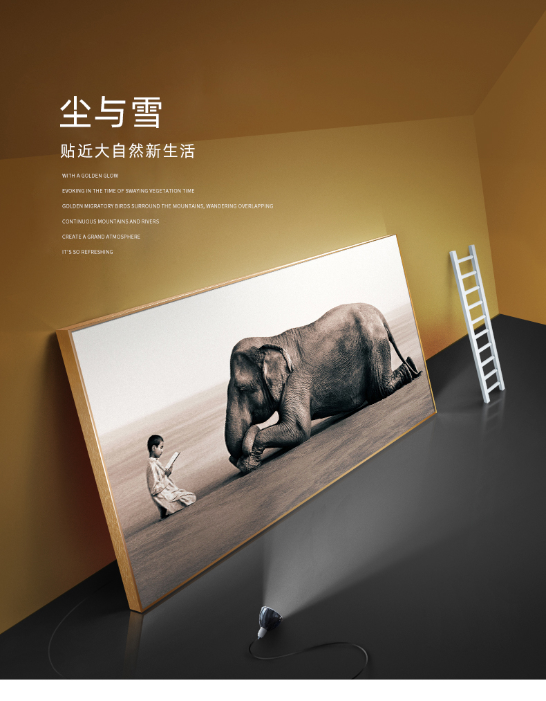 画卧室床头温馨挂画黑白摄影艺术画d尘与雪200100ps柚木框油画布定做