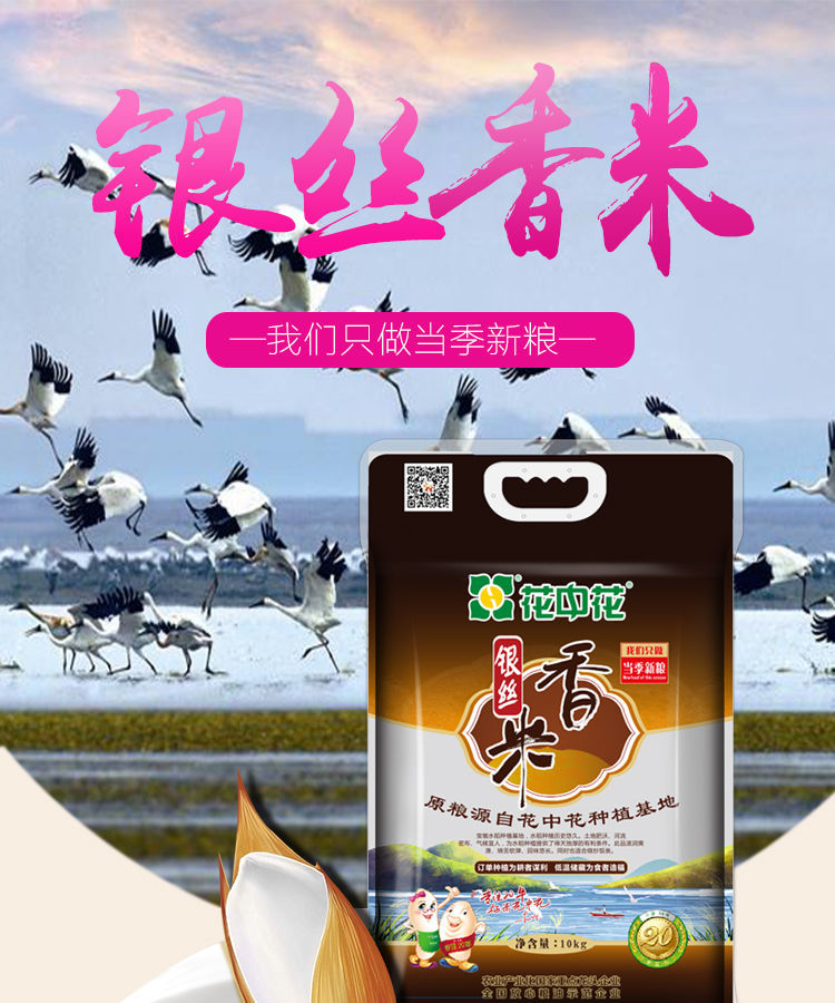 橙伯乐花中花银丝米 香米10kg当季新米香软长粒籼米家庭装20斤炒饭