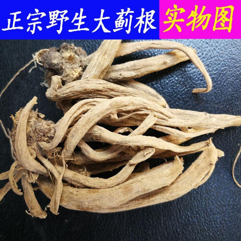 伟博大蓟根 大计根中药材新鲜大蓟根干货500g 野芥菜根刺蓟 精选大蓟