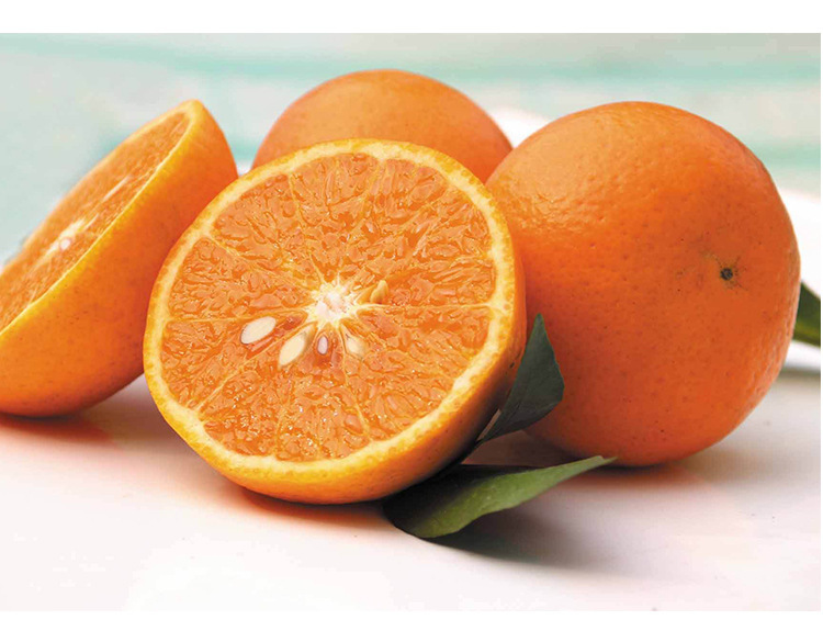 采缇广西沃柑新鲜当季水果香甜桔子武鸣沃甘3斤大果