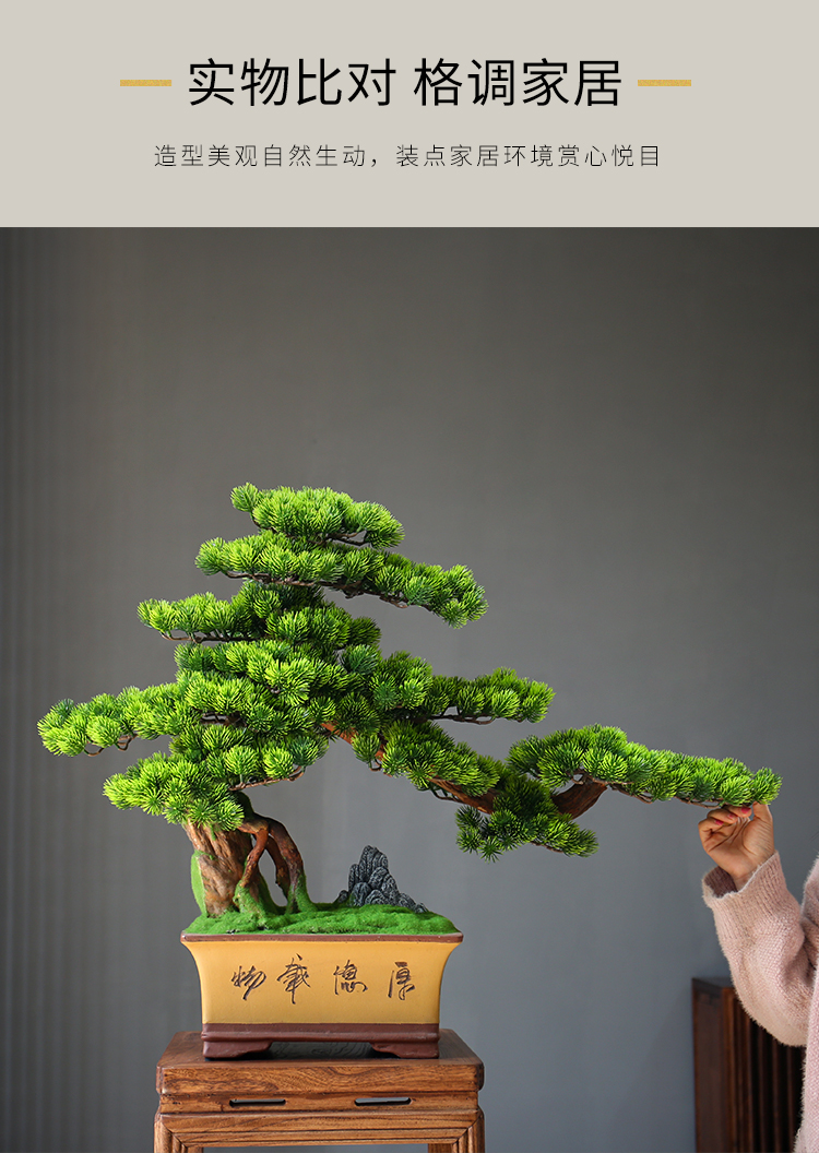 细细木语新中式仿真迎客松盆景崖柏盆栽客厅假树植物酒店装饰玄关造景