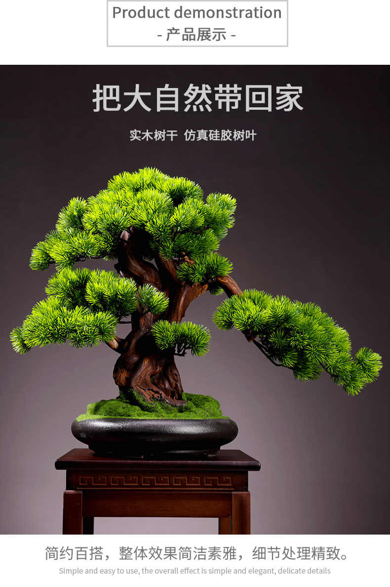 盆景室内迎客松绿植盆栽大型假树桌面微景观装饰摆件圆圆满满小米兰