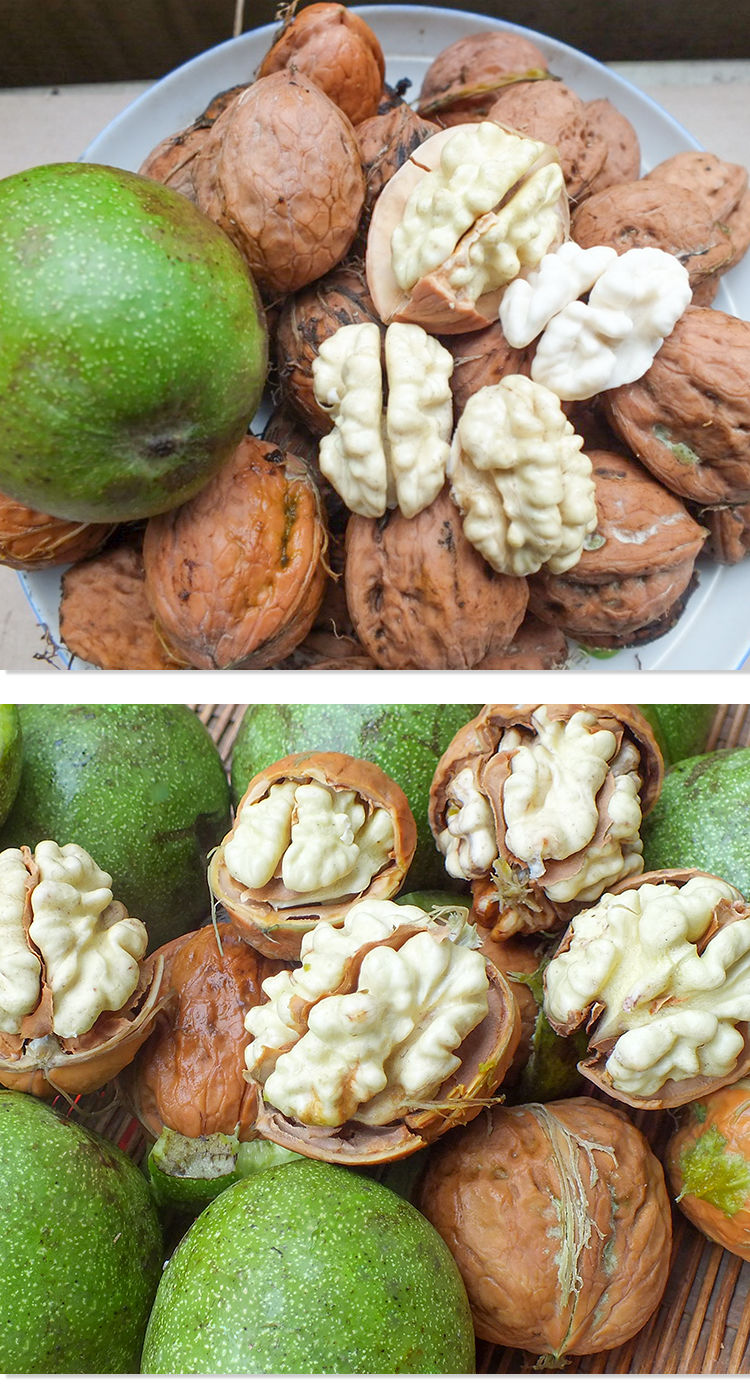 2021四川大凉山新鲜核桃湿核桃去青皮生核桃薄皮嫩新黑桃净重5斤带