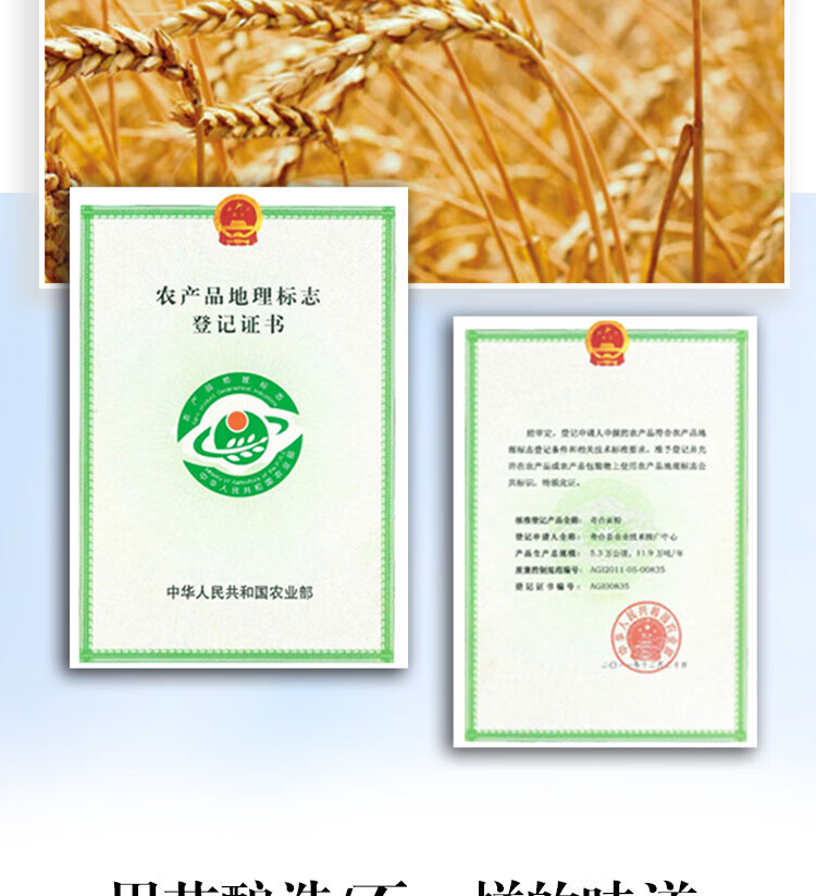 1f5bdaba68e5cb81.jpg
