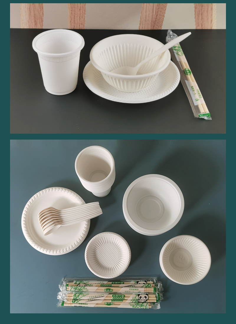 一次性碗筷套装碗碟盘子杯子勺子筷子野餐组合四件套淀粉可降解300ml