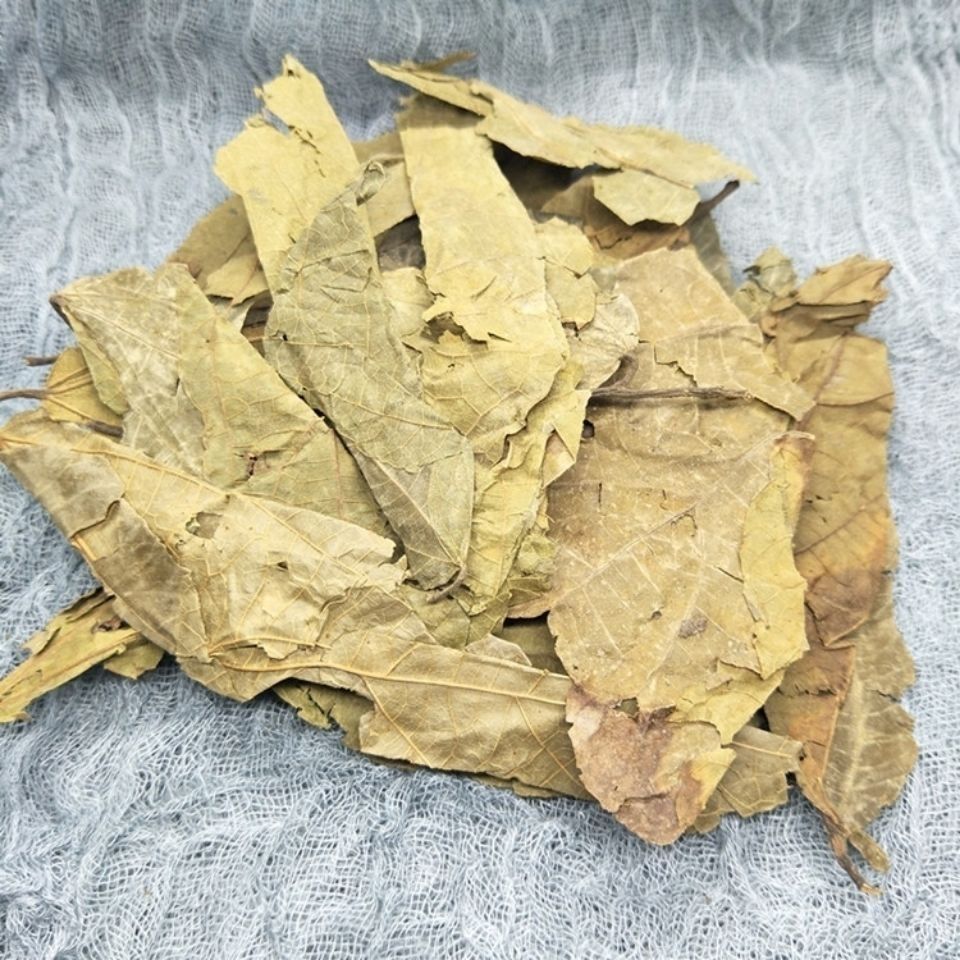 布渣叶野生薢宝叶布渣叶破布叶烂布叶布渣叶泡茶布楂叶布渣叶买一一共