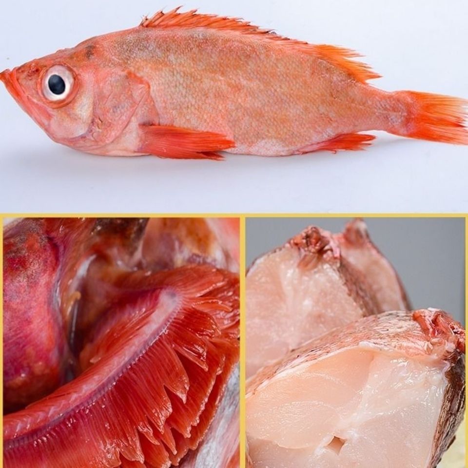 富贵鱼新鲜冷冻大眼鱼深海海鲜水产鲜活红鱼乌蒙蕴色5斤特惠装
