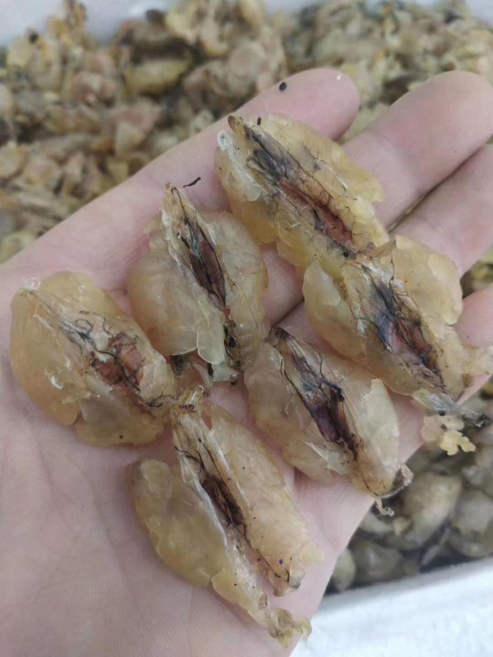 雪蛤干货长白山雪蛤油泡发率高干净无杂质雪蛤炖木瓜赠红枣高品质雪哈