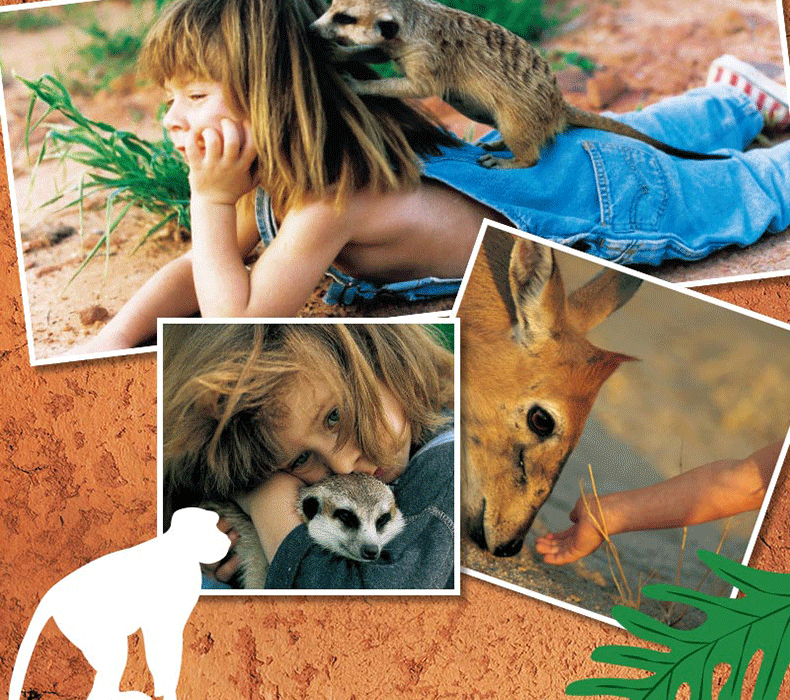 《【自营配送】我的野生动物朋友 接力出版社蒂皮德格雷非注音版二三