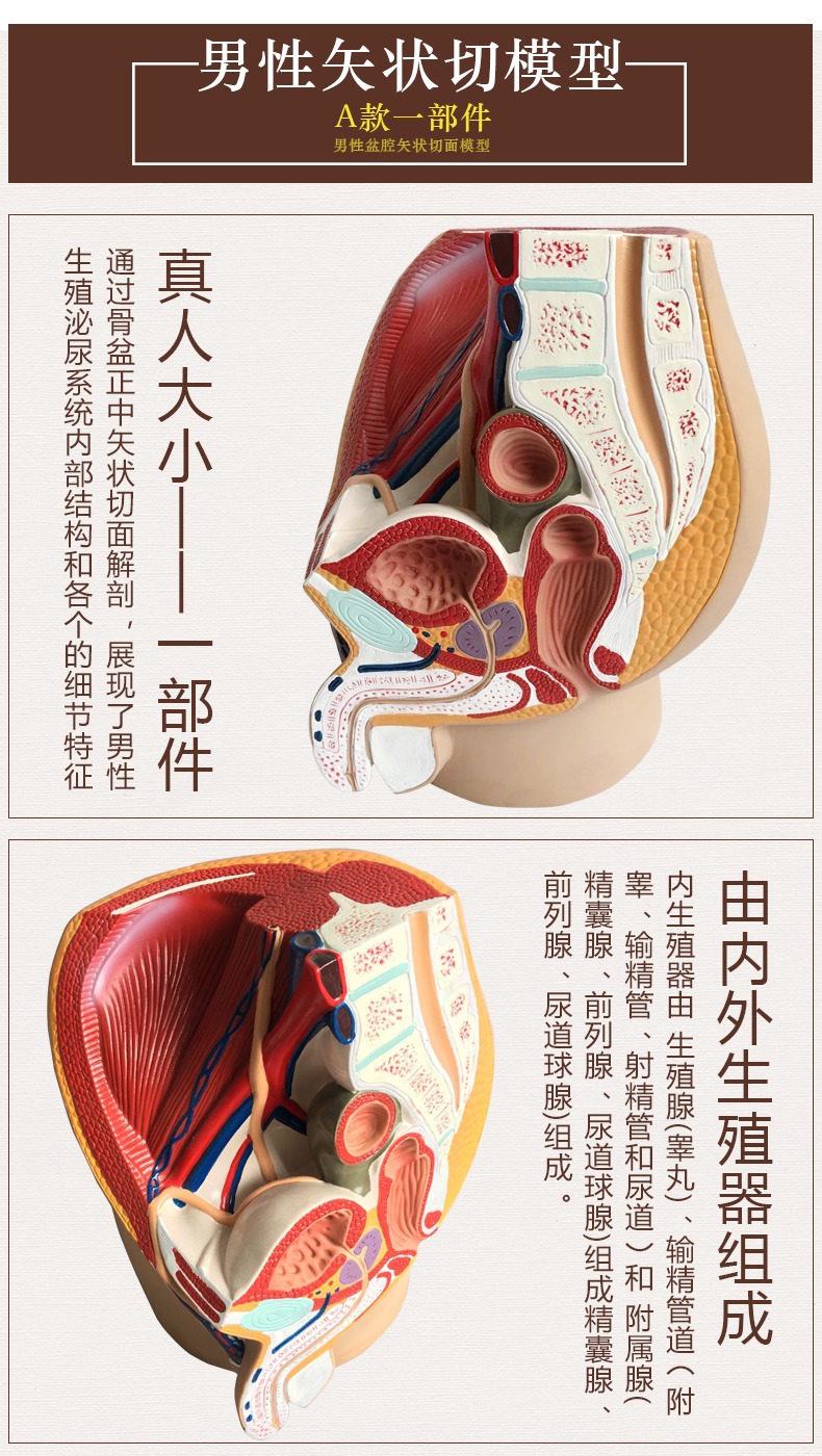 男女正在生殖的视频(男女正在生殖的视频在线观看)-第2张图片-鲸幼网