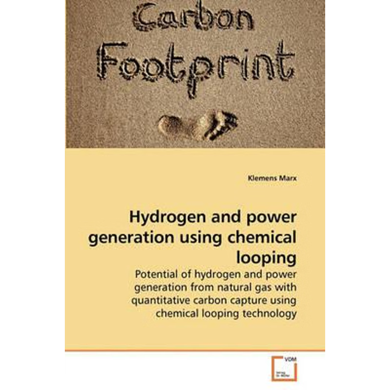 按需印刷Hydrogen and power generation using             chemical looping[9783639159301]