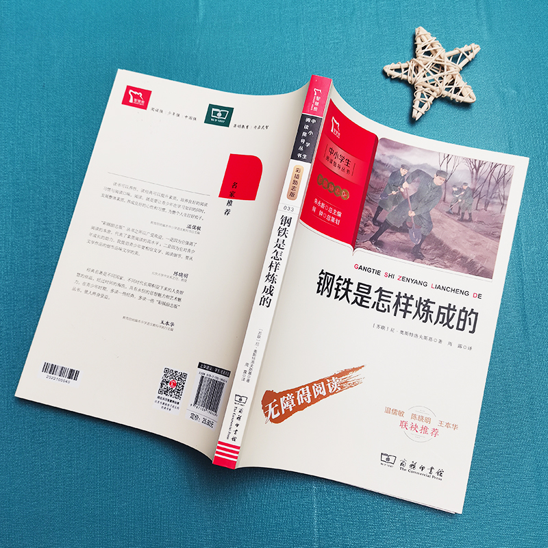 钢铁是怎样炼成的中小学推荐阅读中小学生课外阅读指导丛书彩插无障碍