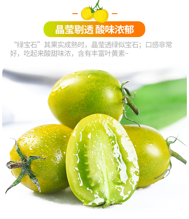 顺丰快递绿色圣女果青皮玉玲珑绿千禧番茄水果应季水果小西红柿子5斤
