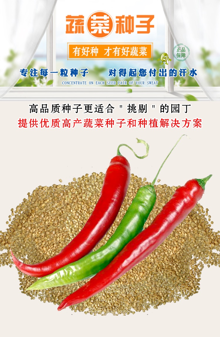 辣椒种子四季高产青椒杭椒小米辣七彩朝天椒甜椒阳台盆栽种植春播