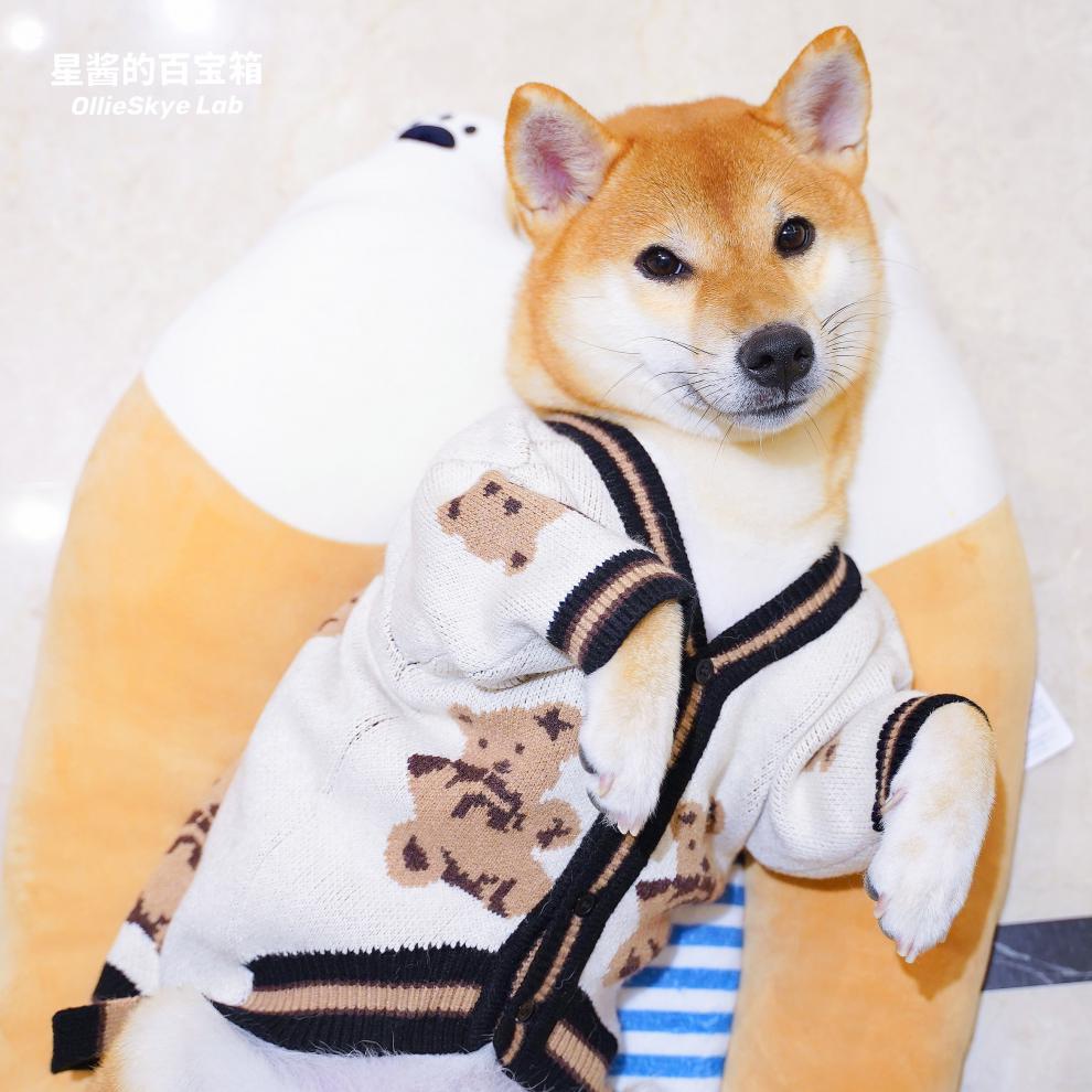 柴犬衣服柴犬毛衣网红狗狗新年可爱衣服秋冬装厚针织开衫保暖喜庆拜年