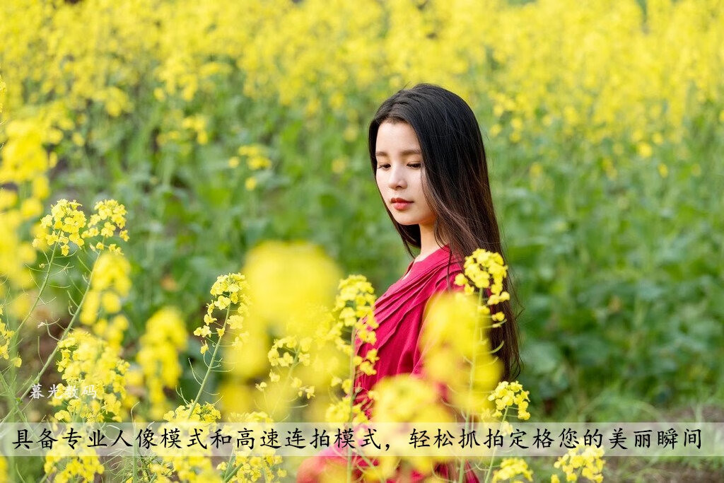 佳能(canon) canon/佳能 ixus 285 hs 相机高清 ixus190 ixus18 ixus