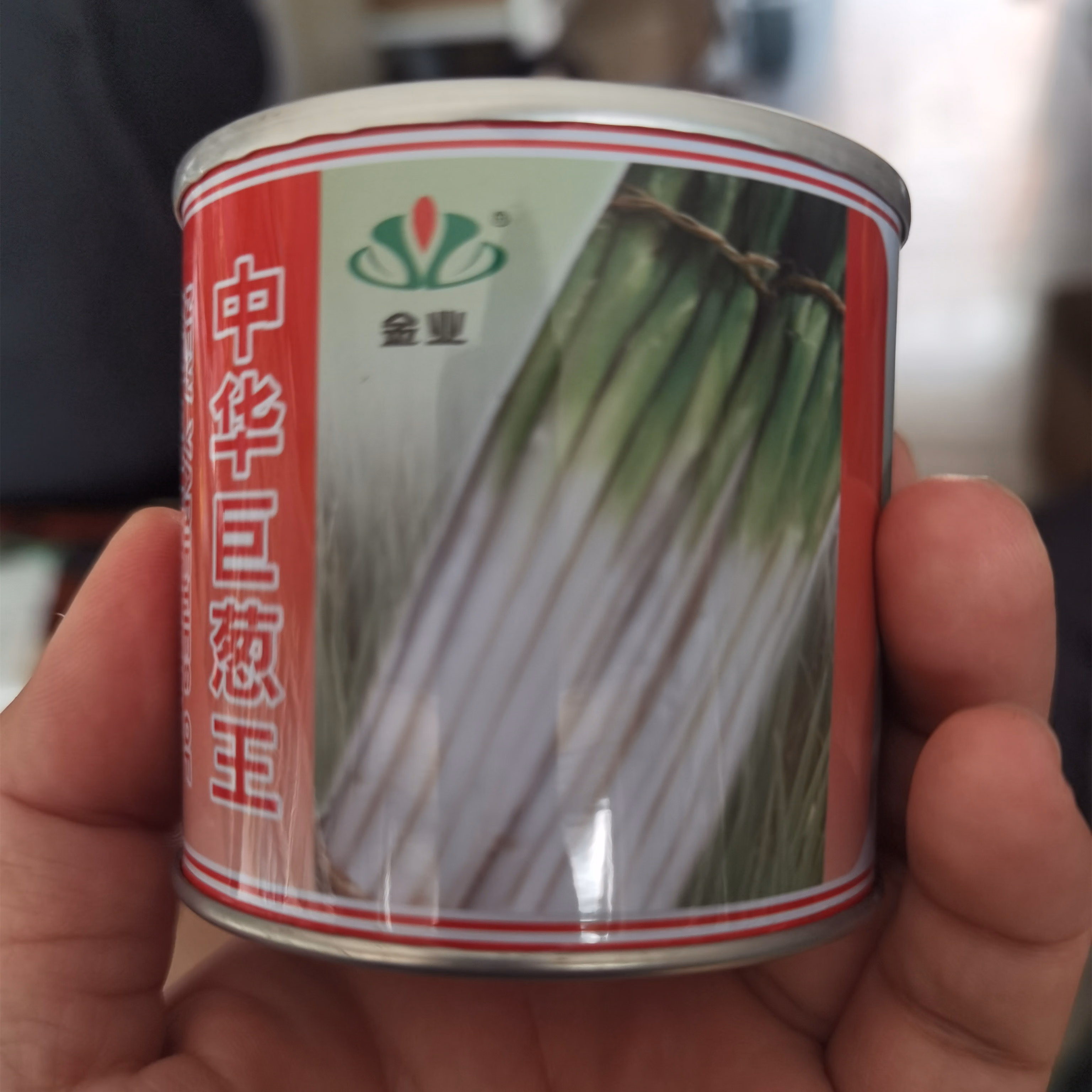 章丘大葱种子铁杆型中华巨葱王大香葱耐热抗寒春季秋冬季铁杆四季 元