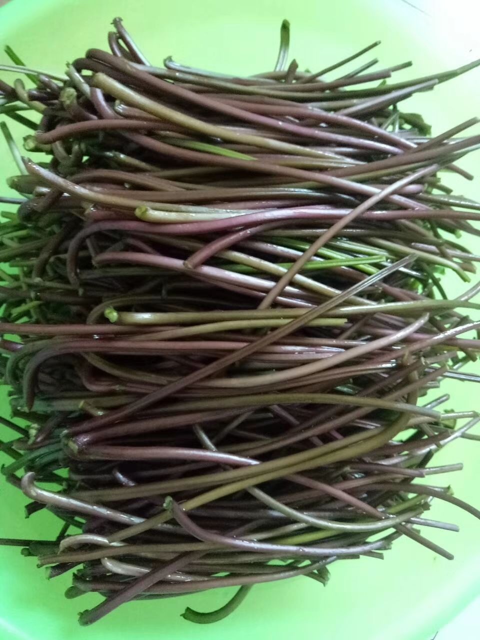 橙伯乐陕西纯手工腌制酸红薯杆杆老坛酸辣泡菜新鲜红薯干爽脆下饭菜