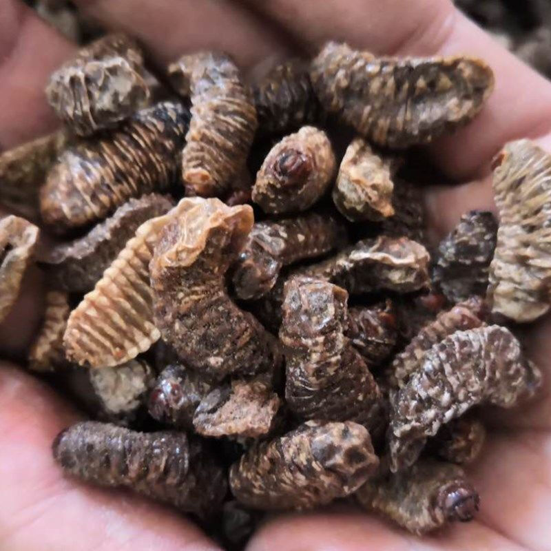 蛴螬 蛴螬 土蚕 老母虫 核桃虫 粪虫 乳齐 250克500克 蛴螬【250克】