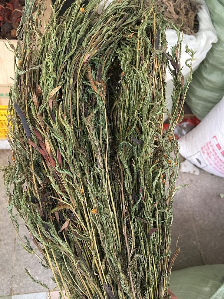 伟博野生中药材铁甲草 益肝草 软肝草中草药500克 【整颗】软肝草