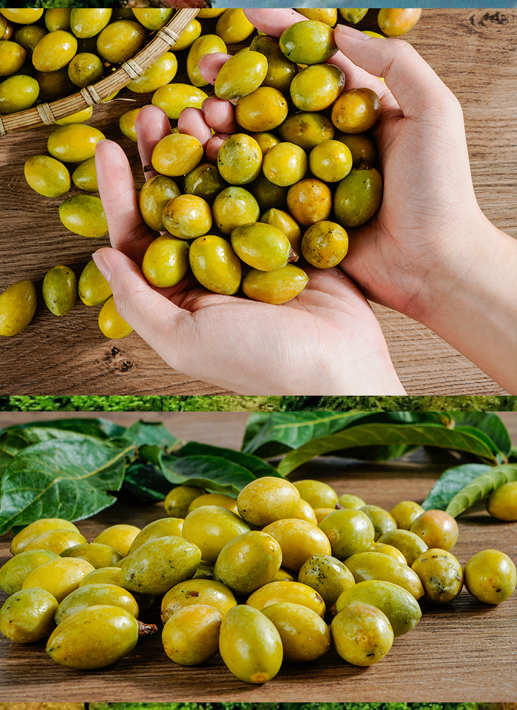 广东潮汕橄榄黄皮新鲜当季饱满香甜黄皮橄榄1斤水果精心挑选新鲜水果