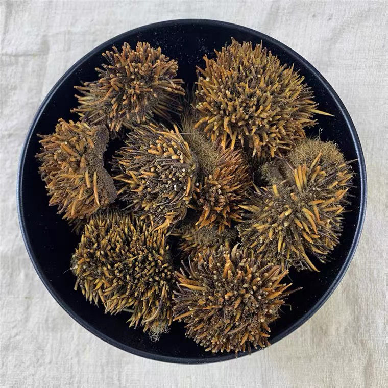 有仁堂炒刺猬皮粉刺猬皮原料现磨干净无添加纯正刺猬皮年货刺猬皮粉