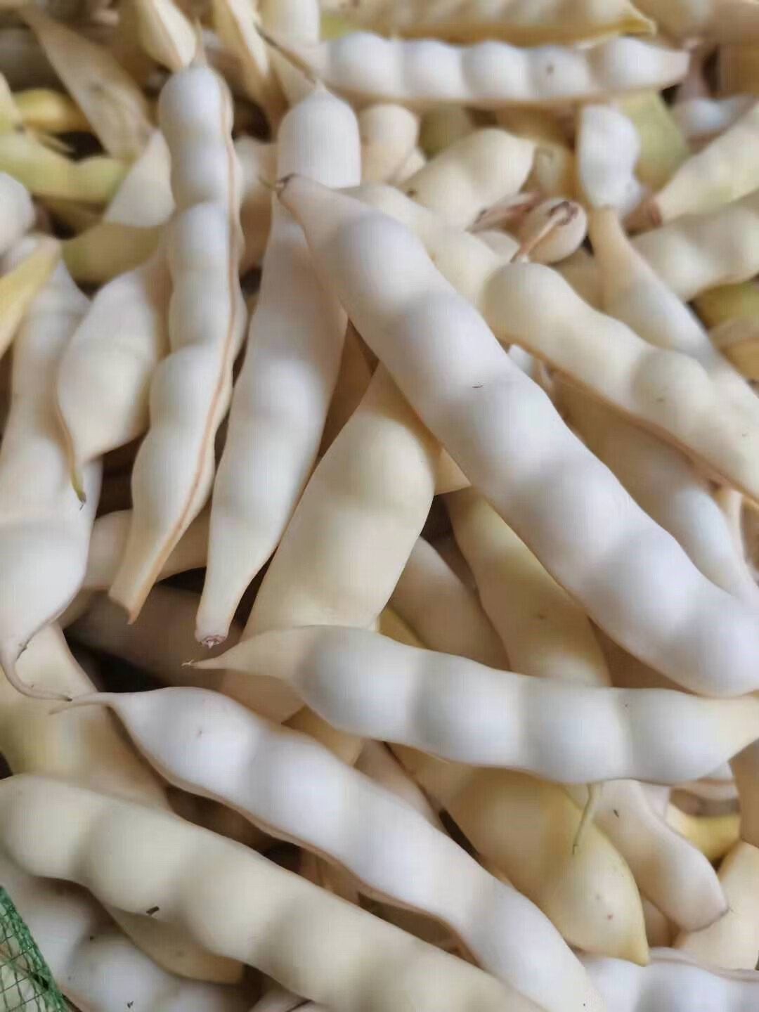 东北新鲜黄豆角勾勾黄油豆角兔子翻白眼黄金勾钩豆角蔬菜现摘 2500g