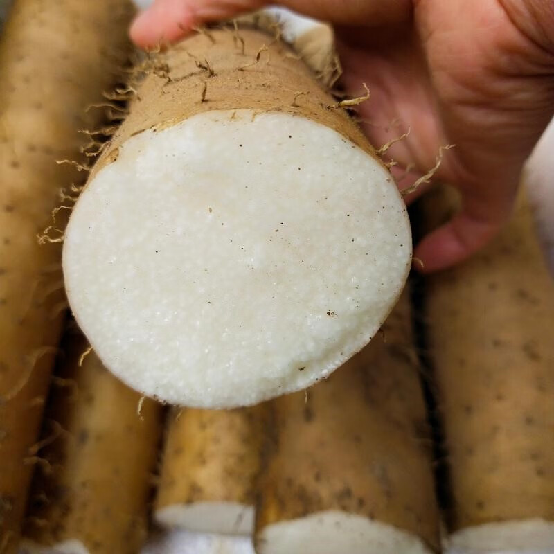 悠妃襄阳脆山药新鲜淮山药农家薄皮长脆条水山药粗大山药 4斤【图片