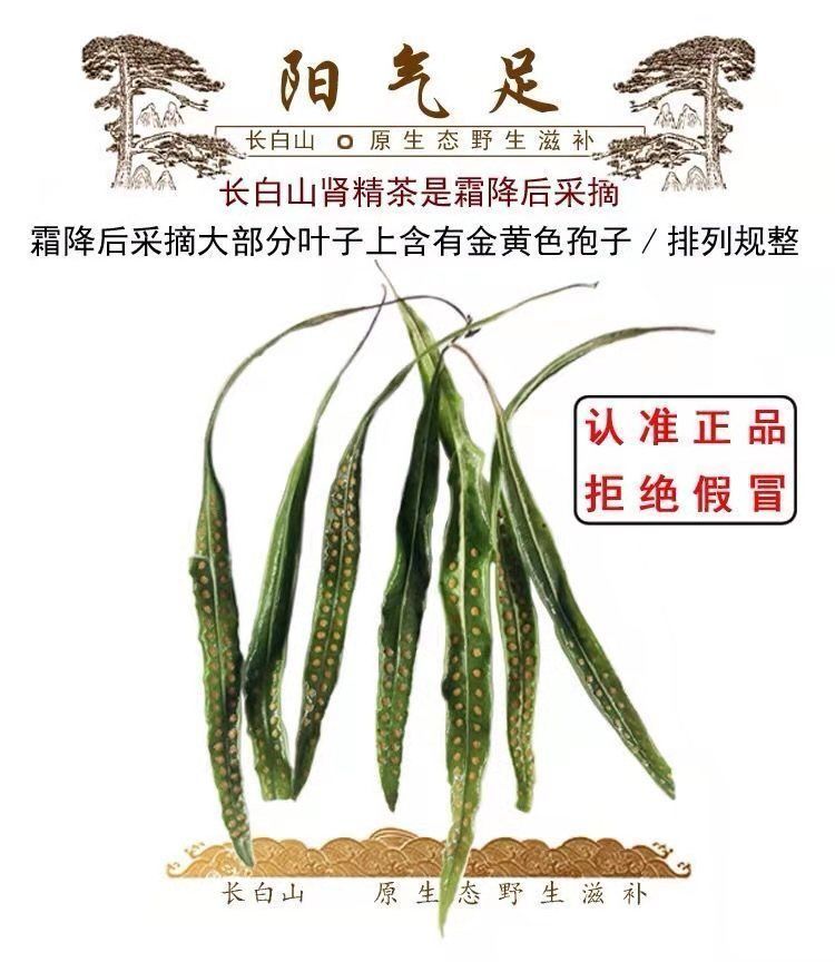 同仁堂原料肾精茶 肾精草 东北长白山特产野生肾精草茶养生茶草瓶装