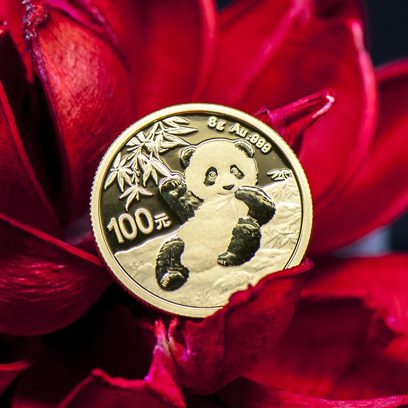中钱 中国金币2020年8克熊猫金银币纪念币 8克熊猫金币【图片 价格