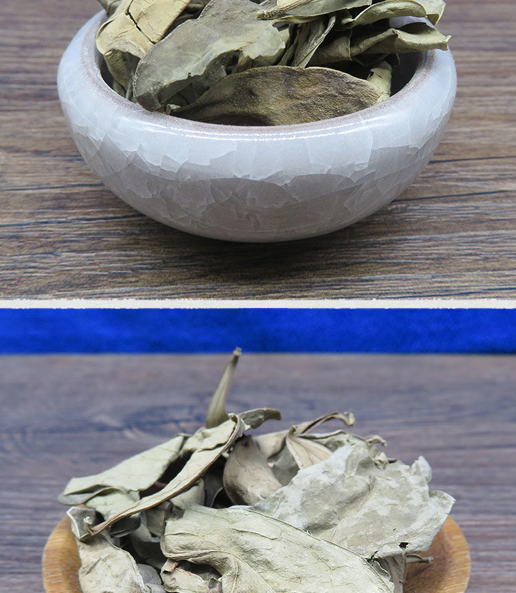 中药材 龙利叶 龙舌叶龙脷叶龙脷叶牛耳叶冷背100