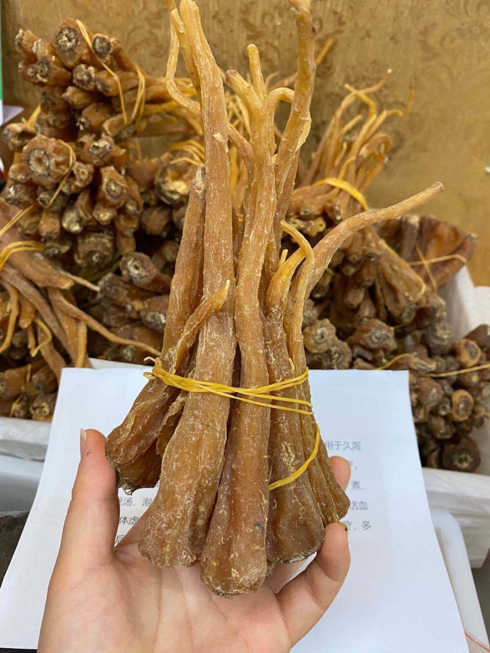 西藏雪参250克野生藏血参雪人参玉人参红毛阳参刺参传统滋补西藏雪参