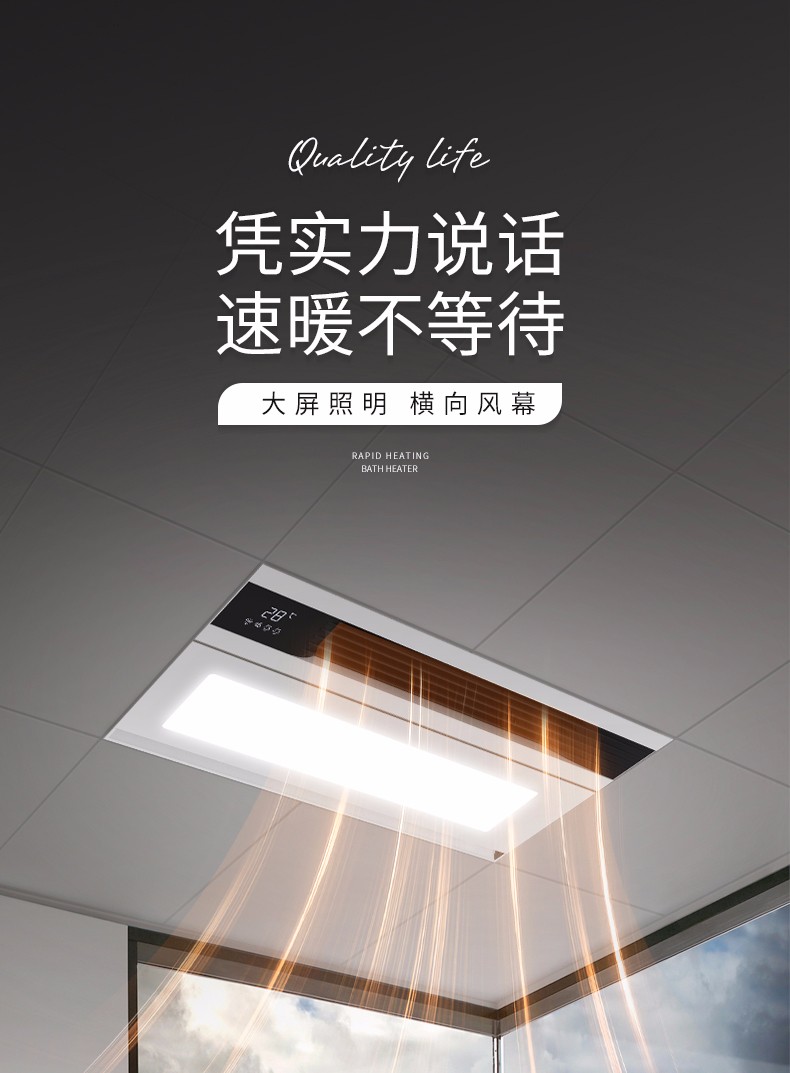 飞雕(feidiao)浴霸风暖浴室暖风机卫生间浴霸集成吊顶灯取暖器排气扇