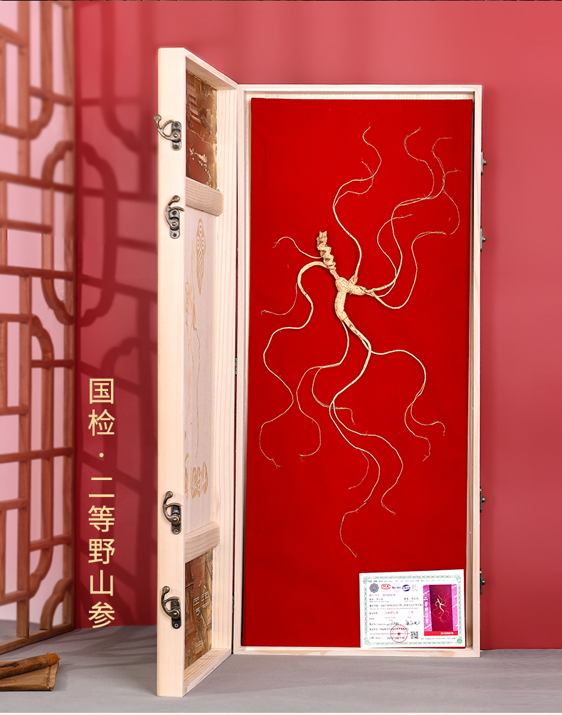 同仁堂国检野山参长白山人参一等参礼盒装林下参30年东北生晒老山参