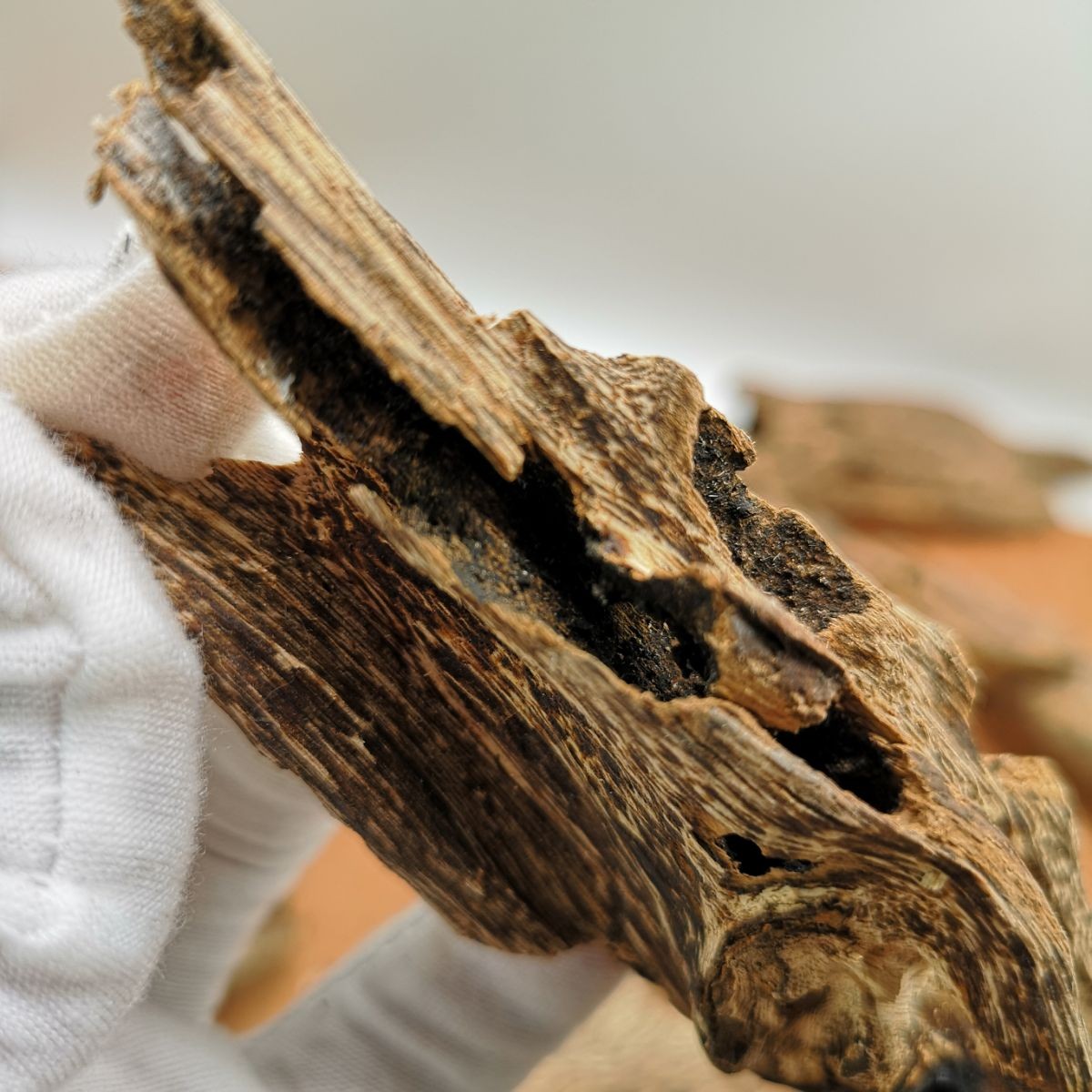 轩野 海南虫漏沉香原材摆件 半黑油天然沉香虫眼 沉香蚁漏沉香木料