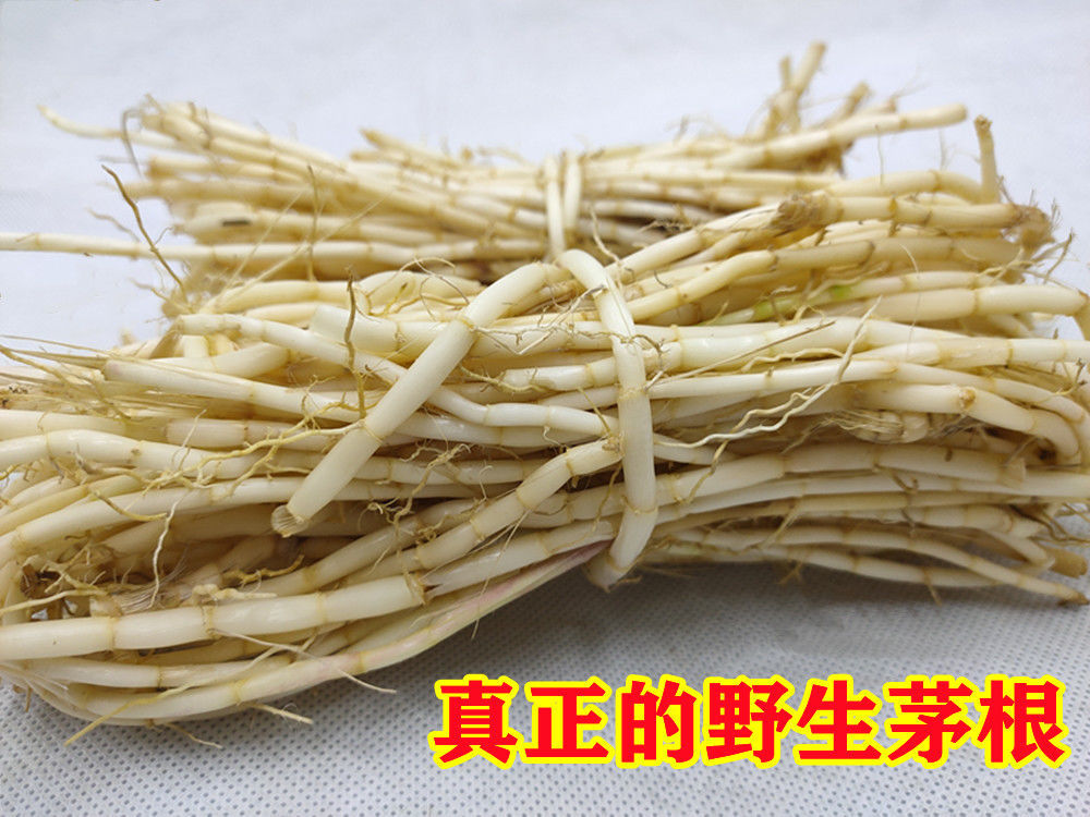 茅根野生新鲜茅根白茅根鲜茅草根毛根茅根竹蔗糖水原料白茅根泡水煮茶