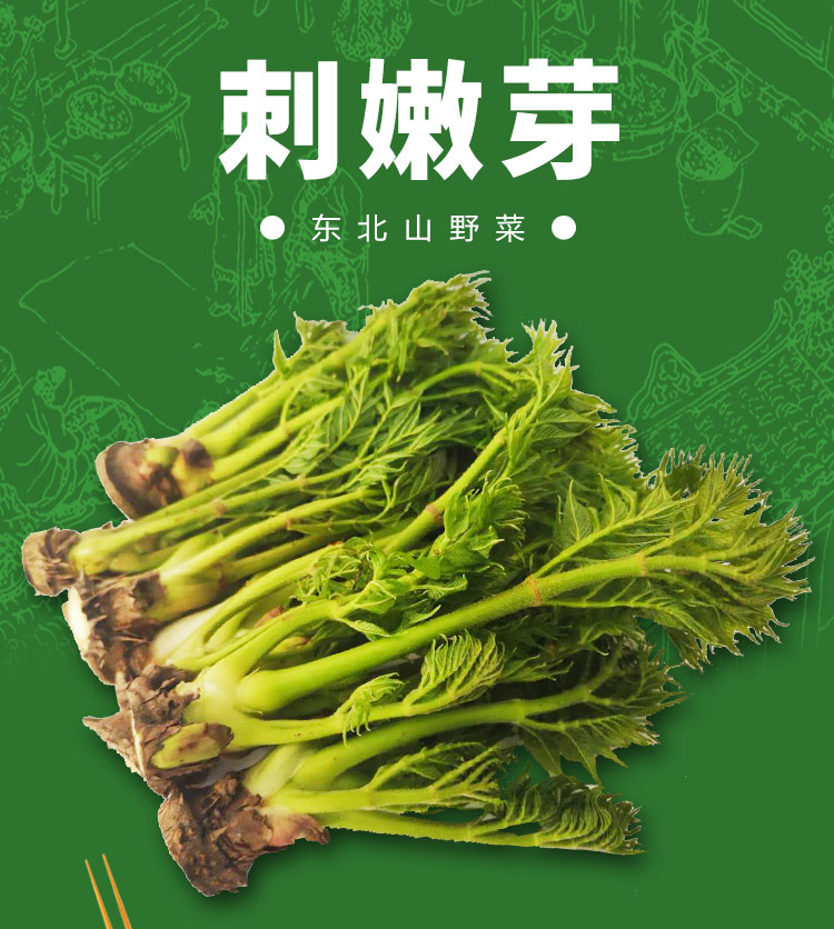 东北山野菜刺嫩芽 焯水袋装刺老芽山野菜刺龙芽新鲜 750g【图片 价格