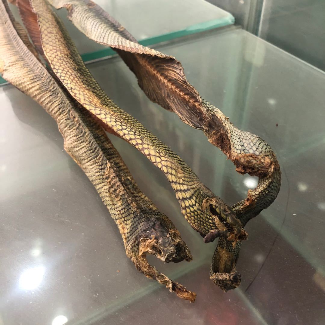 上海蛇药图片