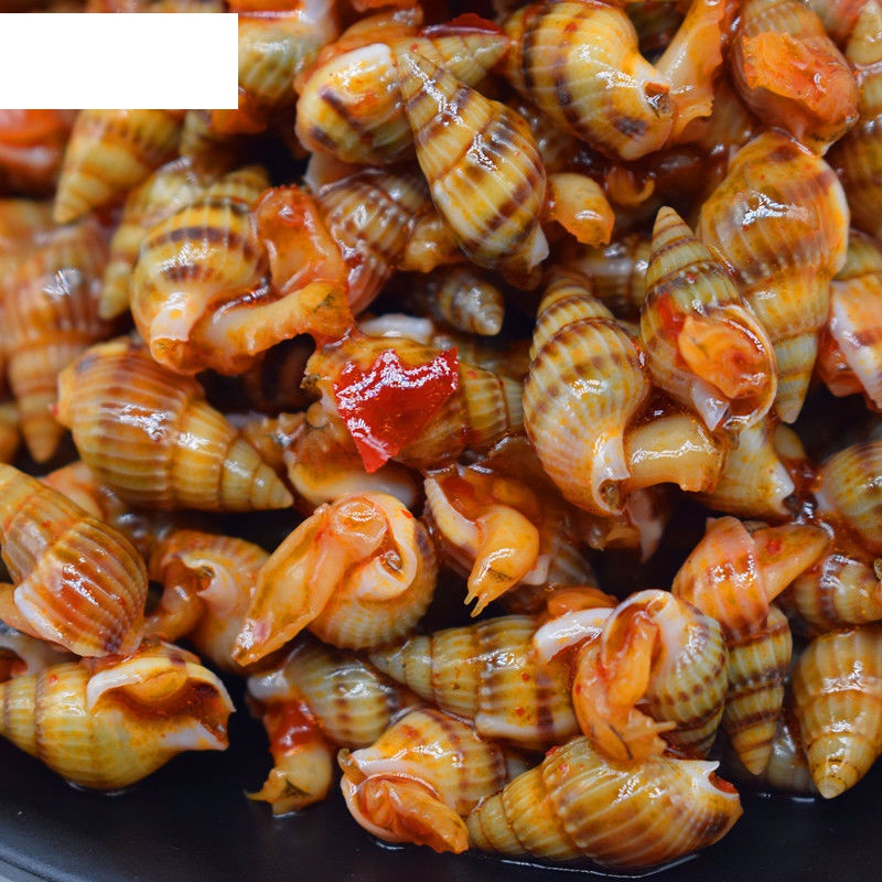锥300g海螺丝海钱即食麻辣海鲜丹东东港特产海瓜子 麻辣海锥4盒【图片