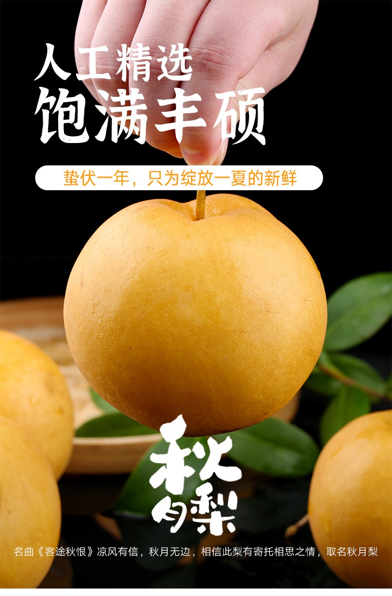 正宗山东莱阳冰糖秋月梨礼盒装新鲜应季水果梨子102250g6个精品礼盒装