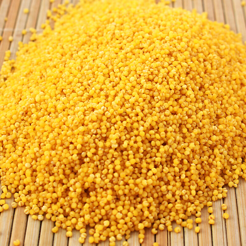 乐土黄小米新米内蒙古赤峰红谷小米月子米杂粮粗粮粥米25kg袋装