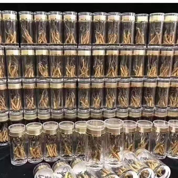 1cf5ae3ce80cbd07.jpg