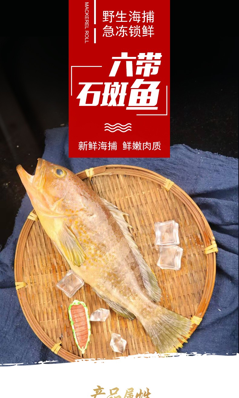 尚淘东山岛土过石斑鱼500g新鲜六带石斑鱼深海鱼500g条