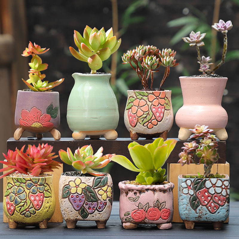 多肉花盆厂家可爱创意透气中小号拇指盆室内肉肉花盆陶瓷 716橘色